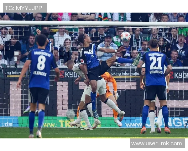 顶级俱乐部纷纷关注汉堡中卫武什科维奇拜仁在列